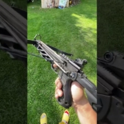 BEAR desire XL pistol crossbow test shot .#crossbow#bowhunting#hunting#bow#target#archery#shortsfeed