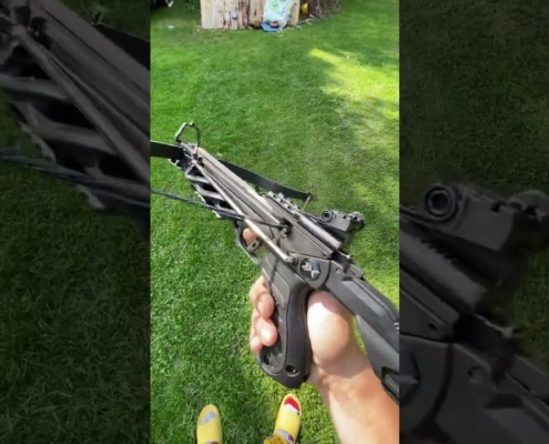 BEAR desire XL pistol crossbow test shot .#crossbow#bowhunting#hunting#bow#target#archery#shortsfeed