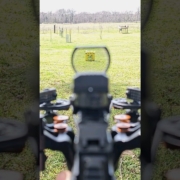 Ballista BAT REVERSE Crossbow POV