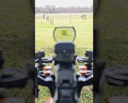 Ballista BAT REVERSE Crossbow POV