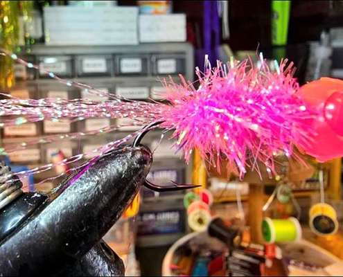 Crossbow bill had cohesive support in NY state senate | News, Sports, Jobs