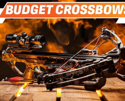Top 5 BEST Budget Crossbow You can Buy Right Now [2025]